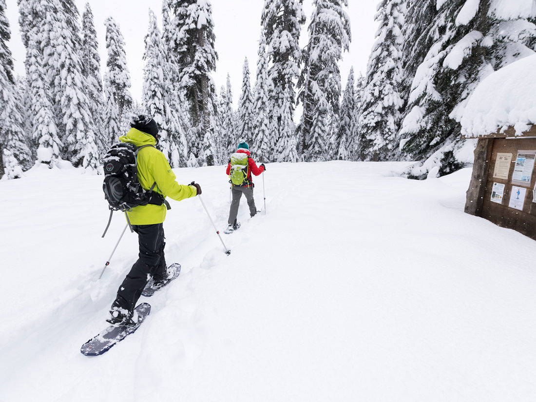 msr-dynalock-trail-trekkingst-cke-80-140-cm-wei image 6