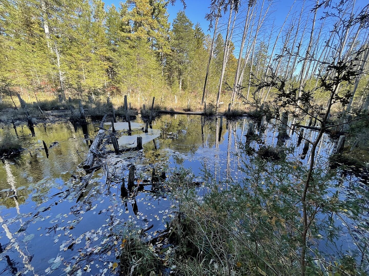 Schnelles Wasser