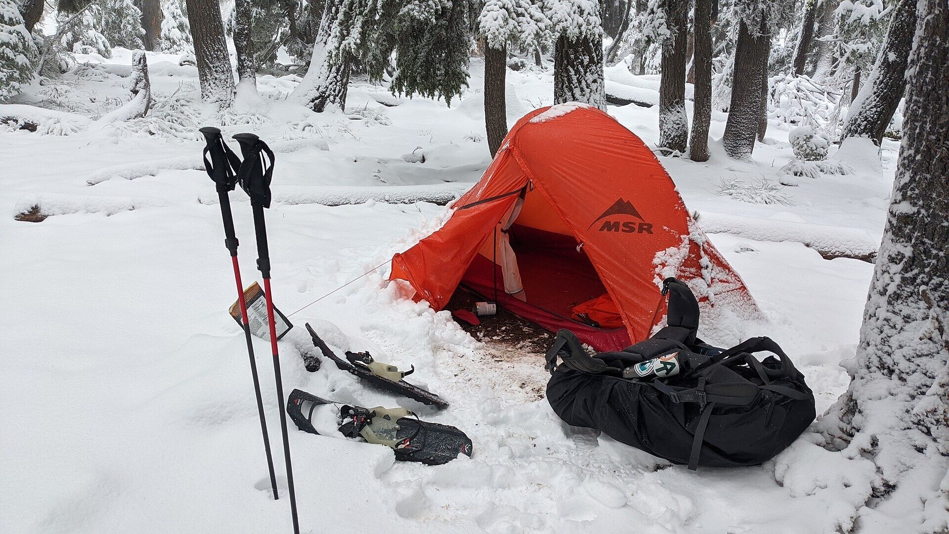 Top im Schnee
