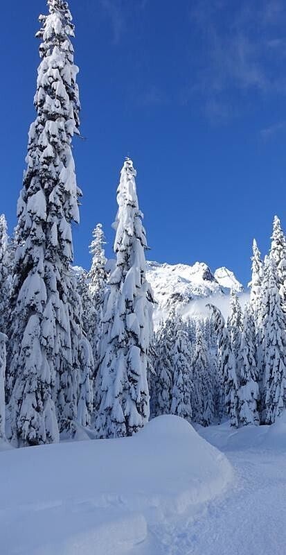 Top im Tiefschnee